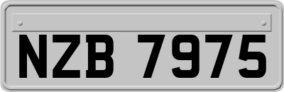 NZB7975