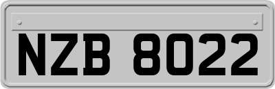 NZB8022