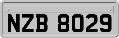 NZB8029