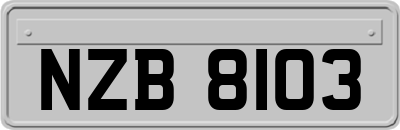 NZB8103