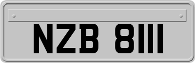 NZB8111