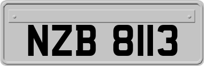 NZB8113
