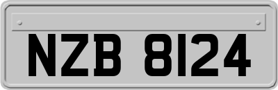 NZB8124
