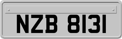 NZB8131