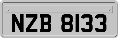 NZB8133