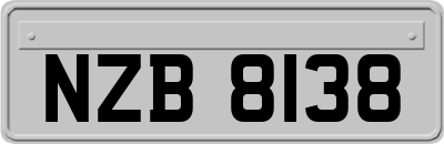 NZB8138