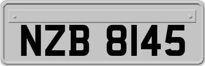 NZB8145