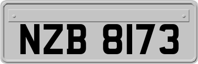 NZB8173