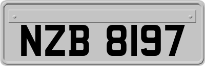 NZB8197