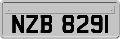 NZB8291