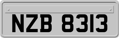 NZB8313