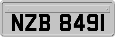 NZB8491