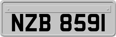 NZB8591