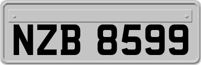 NZB8599