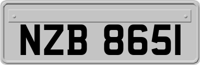 NZB8651