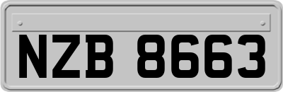 NZB8663