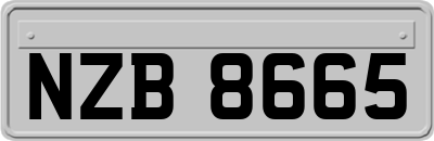 NZB8665