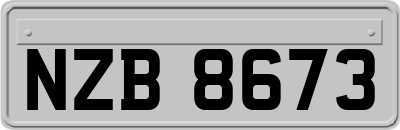 NZB8673
