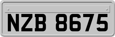 NZB8675