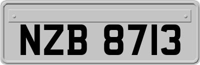 NZB8713