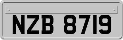 NZB8719