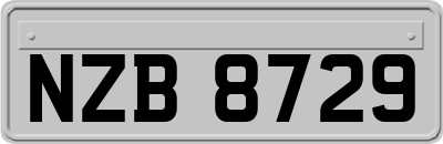 NZB8729