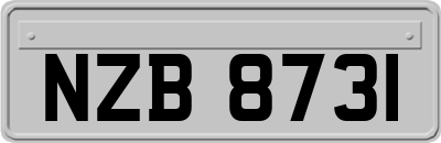 NZB8731