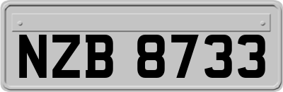 NZB8733