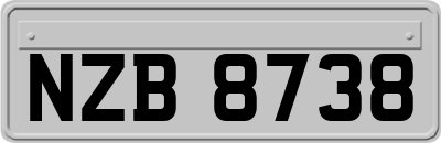 NZB8738