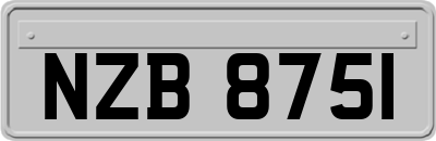 NZB8751