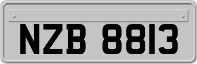 NZB8813