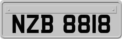 NZB8818