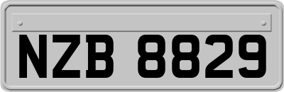 NZB8829