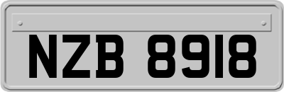 NZB8918