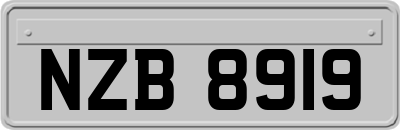 NZB8919