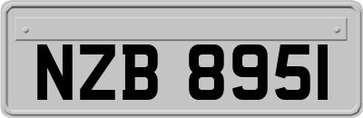 NZB8951