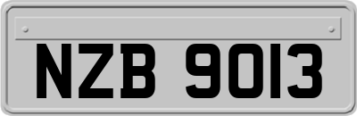 NZB9013