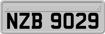 NZB9029