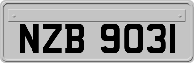 NZB9031