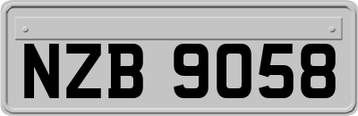 NZB9058