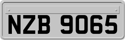 NZB9065