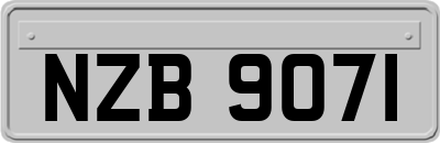 NZB9071