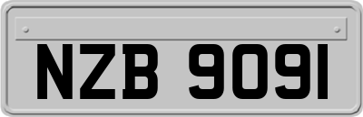 NZB9091