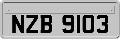 NZB9103