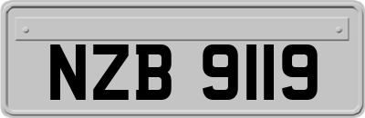 NZB9119