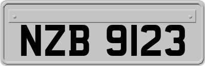 NZB9123