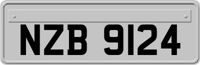 NZB9124