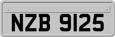 NZB9125