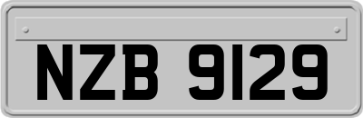 NZB9129