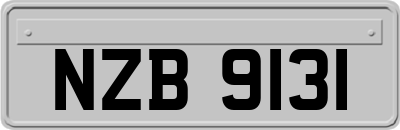 NZB9131
